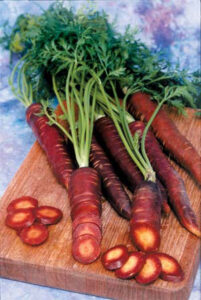 Growing Carrots: Carrot Varieties, Soil Conditions and Harvest Times Image